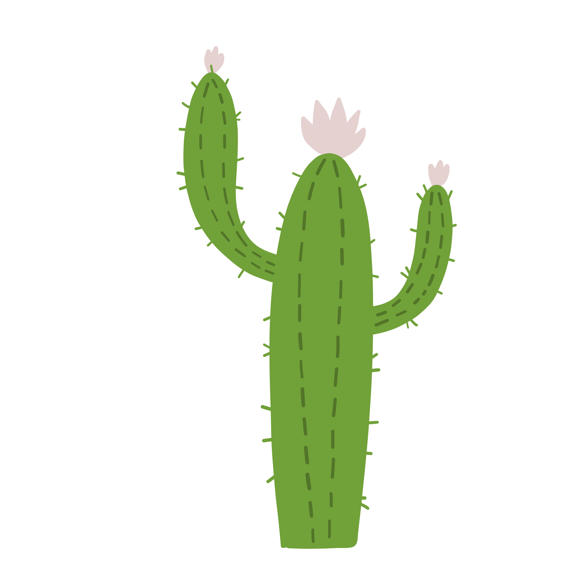Cactus Background